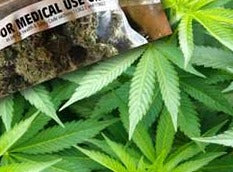 The Cannabis Conundrum