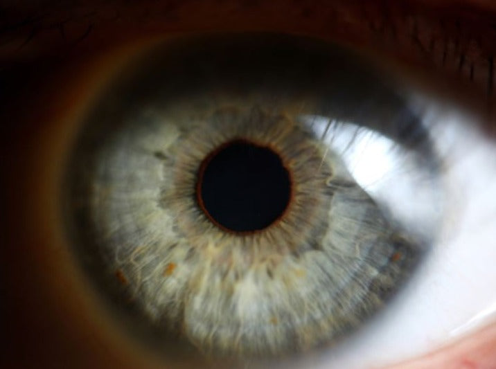 Good Judgment vs. Bad Judgmentalism